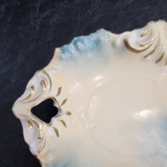 Antique R.S. Prussia Red Mark Rose Motif Porcelain Decorated Relish Dish - Picture 3 of 5